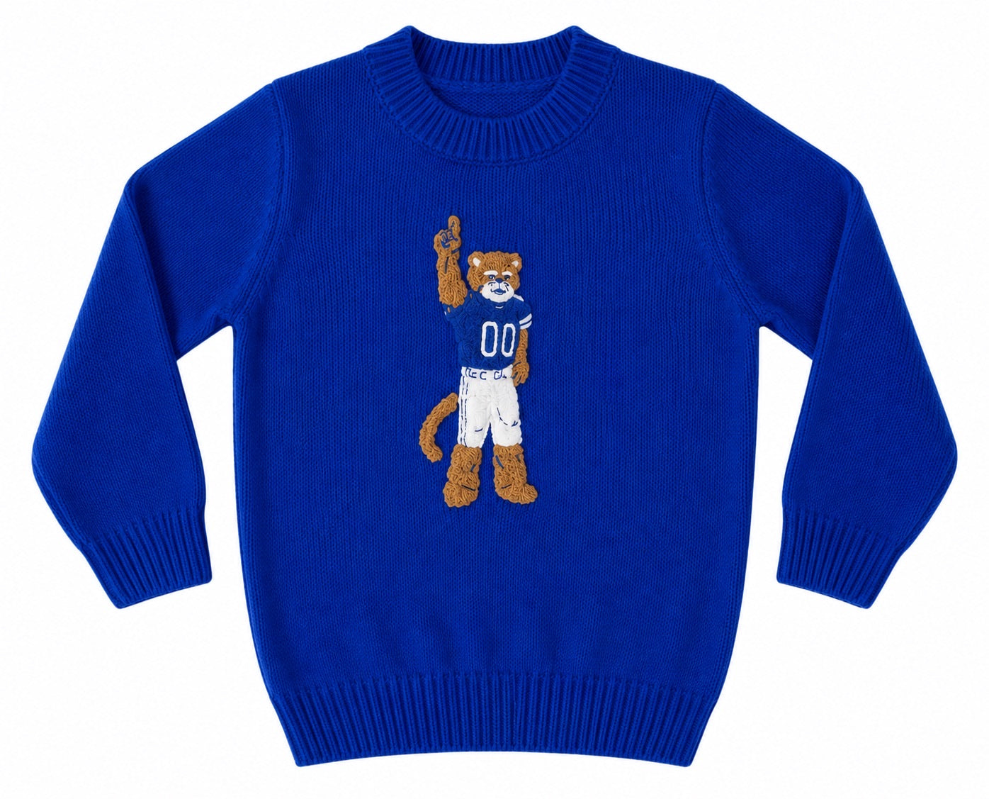 Blue sweater with a tiger graphic on a white background