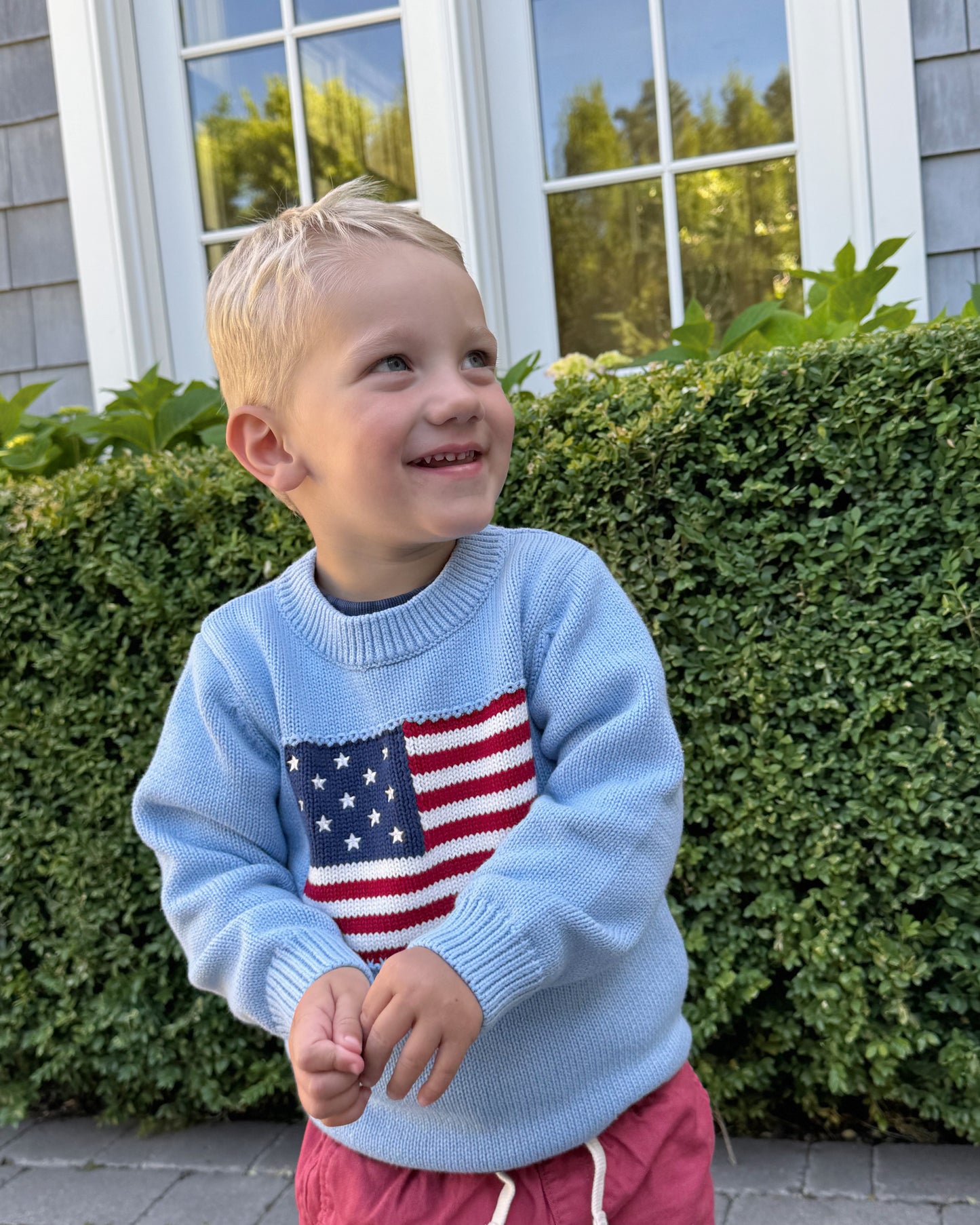Mini Flag Sweater