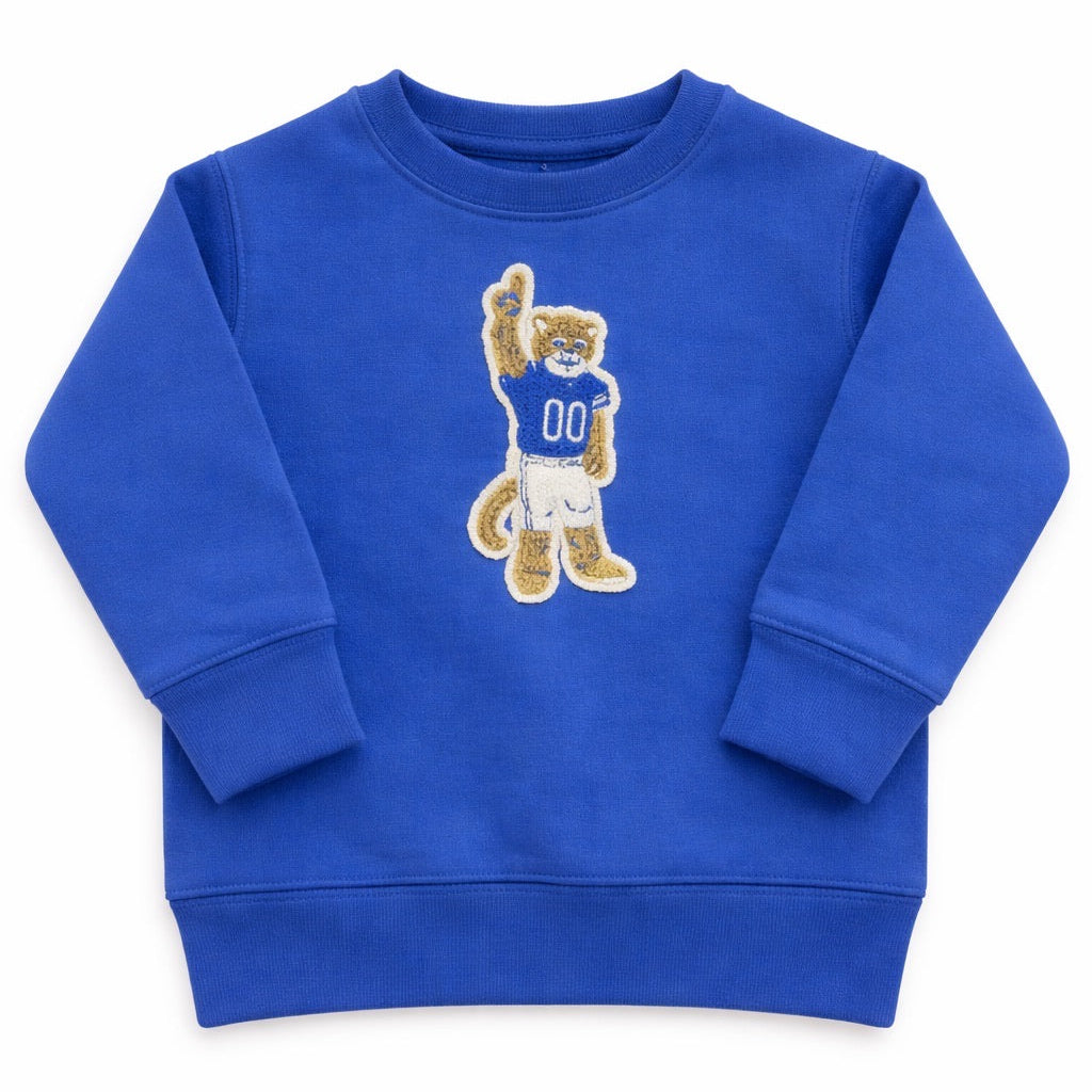 Blue sweatshirt with a bear graphic on a white background